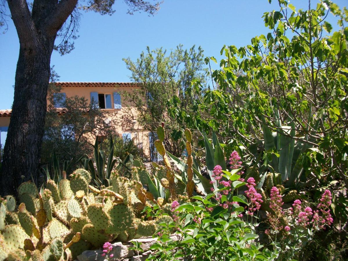 Les Chardons Bleus Bed & Breakfast Lorgues Luaran gambar