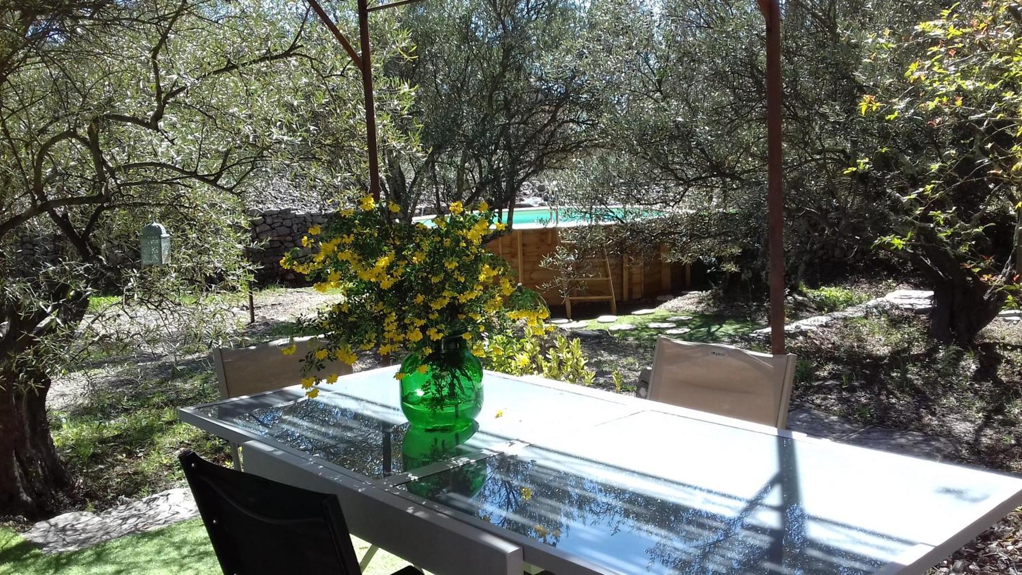 Les Chardons Bleus Bed & Breakfast Lorgues Luaran gambar