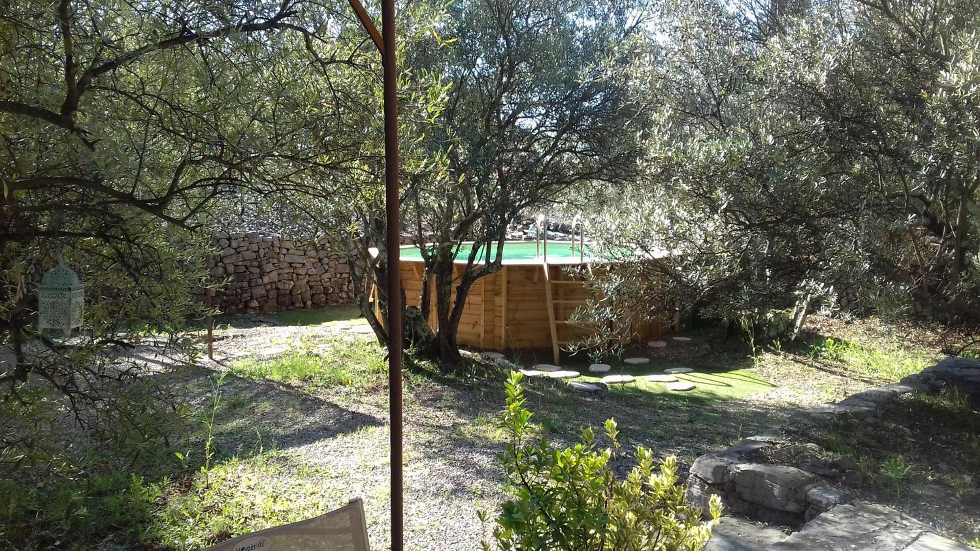 Les Chardons Bleus Bed & Breakfast Lorgues Luaran gambar